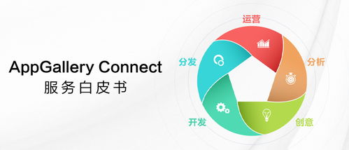 華為應(yīng)用市場(chǎng)AppGallery Connect服務(wù)白皮書(shū) 數(shù)字文化創(chuàng)意內(nèi)容應(yīng)用服務(wù)
